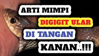 Awas Hati Hati Arti Mimpi Digigit Ular Di Tangan Kanan