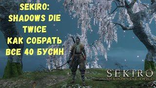 ГДЕ НАЙТИ ВСЕ 40 БУСИН В СЕКИРО. НА ПИКЕ ФОРМЫ. МАКСИМАЛЬНАЯ ПРОКАЧКА ЖИЗНИ И ВЫНОСЛИВОСТИ.