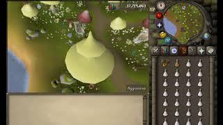 OSRS - Best Place to Train Combat - Upto 80k xphr