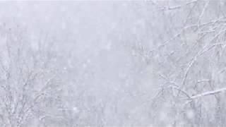 White noise  Heavy Snowstorm Blizzard Snowfall for sleep relaxation  백색소음  ホワイトノイズ