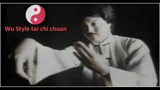 Wu Style tai chi chuan - traditional martial arts