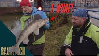 Von Brücke zu Brücke Auf Polder-Zander mit Matze Koch & Birger Domeyer