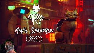 Stray Any% PC Speedrun 5452