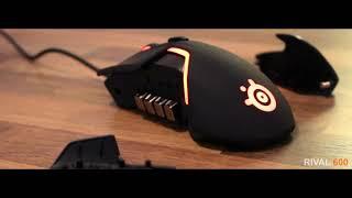 Steelseries Rival 600 and QcK XXL