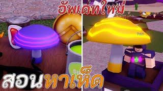 สอนวิธีหาเห็ดอัพเดทใหม่ Roblox Wacky Wizards