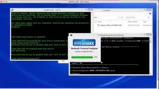 Avaya VoIP Trace With Wireshark-Tshark