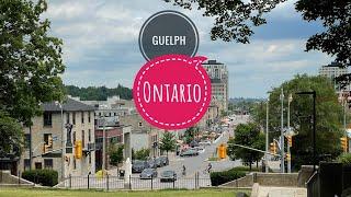 Brampton to Guelph On a Bus  Canada Travel Vlog 2024  Life of Canada 
