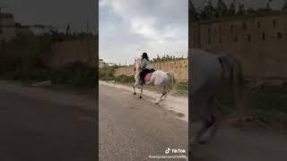 دبكه بعلبكيه