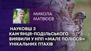 ТВ7+. НАУКОВЦІ З КАМʼЯНЦЯ-ПОДІЛЬСЬКОГО ВИЯВИЛИ У НПП «МАЛЕ ПОЛІССЯ» УНІКАЛЬНИХ ПТАХІВ