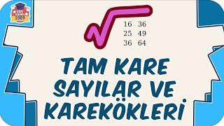 Tam Kare Sayılar ve Karekökleri  8.Sınıf Matematik #2023LGS