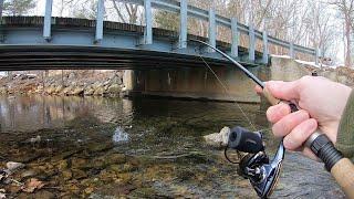 TROUT LOVE THIS BAIT Creek Fishing