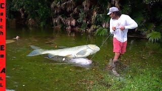 FINDING FISH SWIMMING into the WOODS during FLASH FLOOD