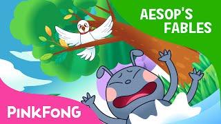 The Ant and the Bird  Aesops Fables  PINKFONG Story Time for Children