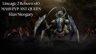 Lineage 2 Reborn x10 IT MASS PVP ANT QUEEN  Polski Klan Nieogary