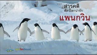 สารคดี องศาโลกอัศจรรย์ เพนกวิน แอนตาร์กติก ฤดูใบไม้ผลิ หาคู่ ผสมพันธ์ ฟักไข่ ออกล่า ขั้วโลก