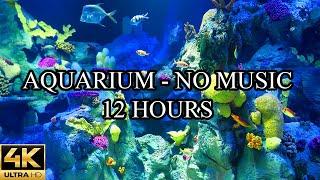 AQUARIUM 4K Coral Reef 4K Aquarium No Music No Ads - 12 Hours  Meditation  Relaxation  Sleeping