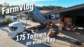 7 Lkw´s an einem Tag so voll ist der Hof selten.. Blindstriegeln - Dinkel drillen & mehr  Vlog 132