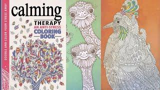 Calming Therapy an Anti-Stress Coloring Book - Relaxing Adult Coloring Book at Sugar Hiccups