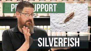 How Did I Get Silverfish?  Pest Support