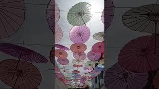 Umbrella Cantik #umbrella #cantik