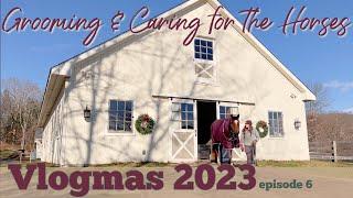 Trimming Manes Barn Chores + Groom Tack Up & Ride w Me EQUESTRIAN VLOG  Vlogmas 2023 • Ep 6