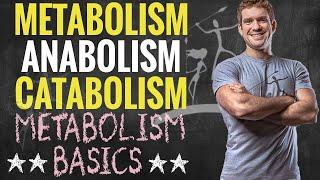 Metabolism Anabolism and Catabolism