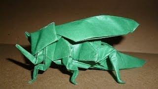 Origami Grasshoppper Instructions J. Aníbal Voyer