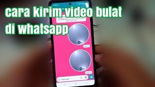 Cara send video bulat di whatsapp