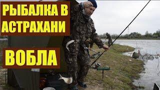 Рыбалка в Астрахани  Вобла  Уха на костре