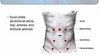 Wound Assessment