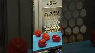 Automated picking and placing of peppers