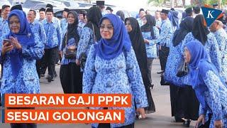 Nyaris 2.000 CASN Pilih Mundur Berapa Gaji PPPK?