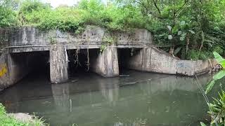 MANCING BAWAL LAGI DUSUNGAI PAKAI UMPAN PELET LHAB LHEB