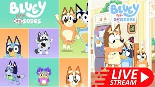 Everything We Know About The NEW BLUEY MINI SERIES new characters and Bandit getting a Tattoo?