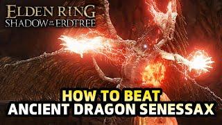 Elden Ring How to Beat Ancient Dragon Senessax - Build & Tips Shadow Of The Erdtree