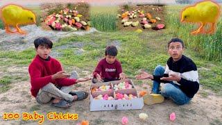 100 Baby Chicks  Hamare New Chozha  Dawood Sabir Vlogs