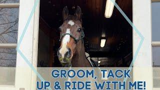 Groom Tack Up & Ride with Me  Hanging out w my Thoroughbred at the Barn •  EQUESTRIAN VLOG