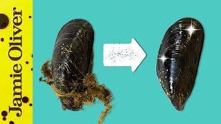 How To Prepare Mussels  1 Minute Tips  Bart’s Fish Tales