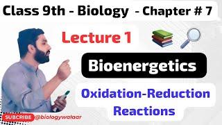 Biology - Class 9 - Chapter 7 - Lecture 1 - Bioenergetics  - Oxidation Reduction Reactions