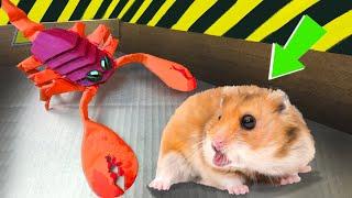 Scorpion Hamster Maze with Traps Obstacle Course + BONUS  Awesome Hamster Escape