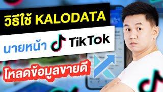 วิธีใช้ kalodata นายหน้า tiktok โหลดข้อมูล Creator