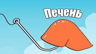 Почему речная рыба обожает куриную печень?