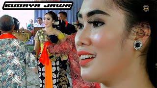 Penari Wajah Cantik Bulu Lebat TAYUB MARDI BUDOYO