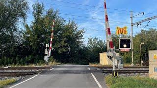 LIVESTREAM #48 Železniční přejezd Turov #1 P4898 - 23.8.2024  Czech railroad crossing