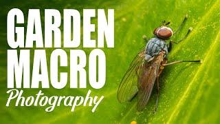 Garden Macro Photography  Take and Make Great Photography with Gavin Hoey