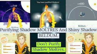 Purifying Shadow Moltres In Pokemon Go  Giovanni Shadow Moltres  Giovanni Shadow Pokemon