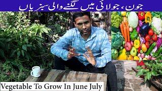 Vegetable to Grow In June July  June July Mei lagne Wali Sabziyan