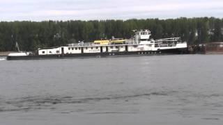 Towboat KRASNODON  Lom  2011sept.09.