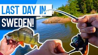 Last Day Fishing in Sweden multi-species lure fishing Lake Sibbo