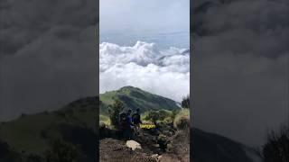 PENDAKIAN DI LUAR NALAR  GUNUNG MERBABU VIA THEKELAN #shorts #short #ytshorts